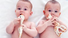 做试管婴儿可以要双胞胎吗？