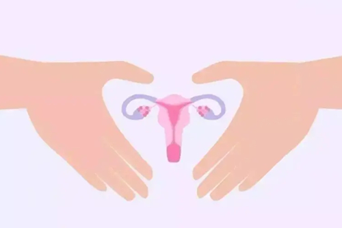 双侧卵巢切除还能怀孕吗,可以做试管婴儿吗