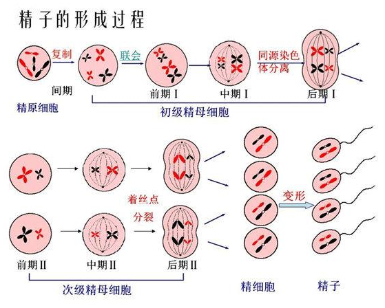 微信截图_20210511154331.png