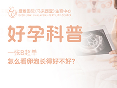 一张B超单，怎么看卵泡长得好不好？